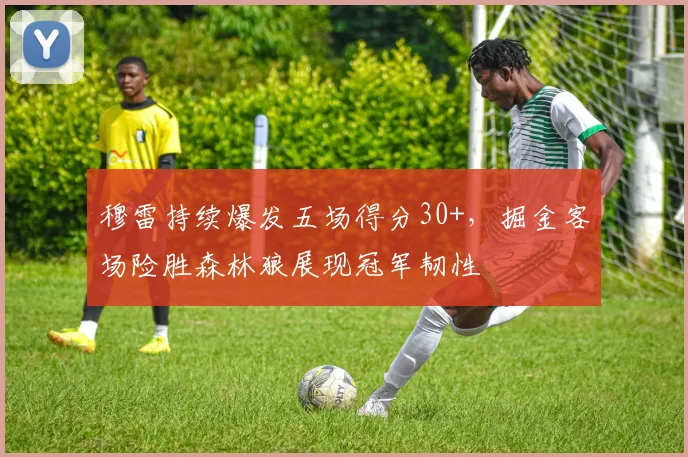 穆雷持续爆发五场得分30+,掘金客场险胜森林狼展现冠军韧性 - 开云APP